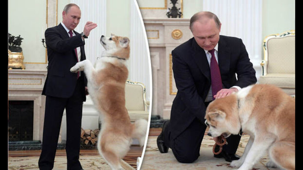 Here's What You Don't Know About Vladmir Putin and his pets