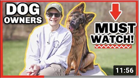 THE BIGGEST OVERLOOKED DOG TRAINING COMMAND 2021