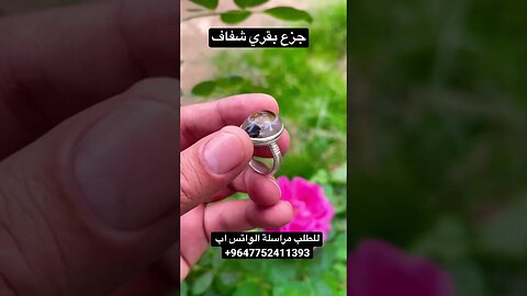 جزع بقري يماني