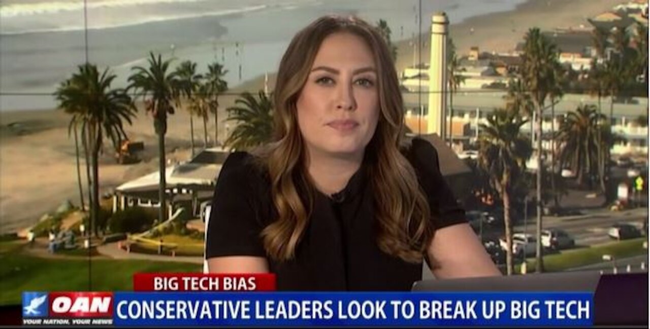 Conservative leaders look to break up Big Tech