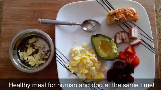 02 Healthy Lunch for Human and Dog