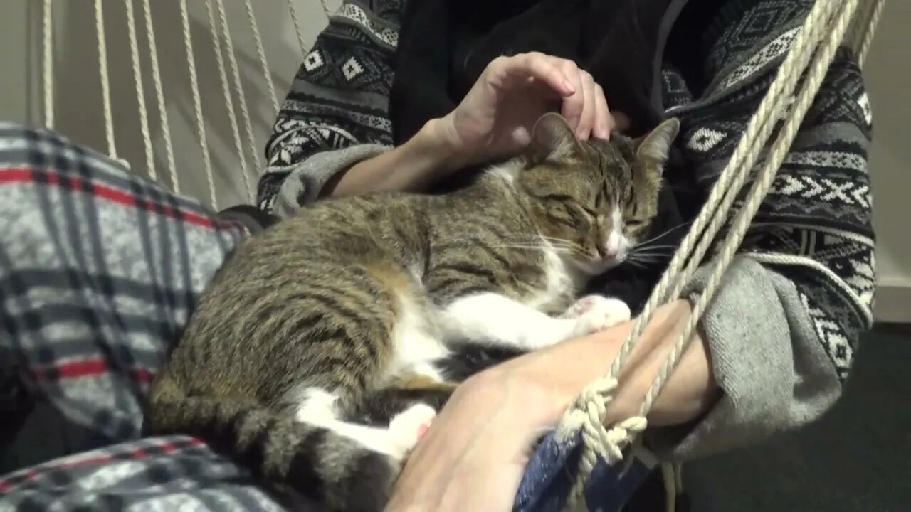 I Am Happy in Mom's Arms