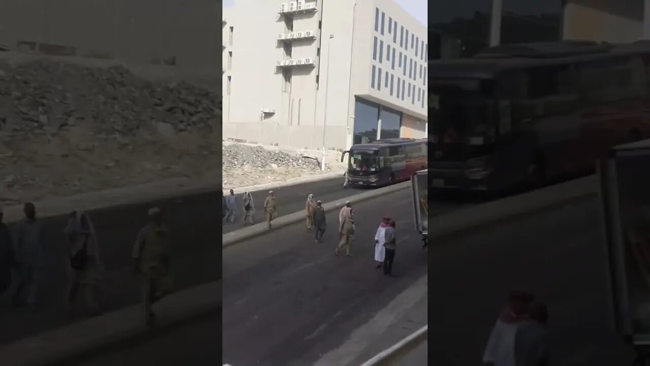 Calm and beautiful pigeons of Makkah