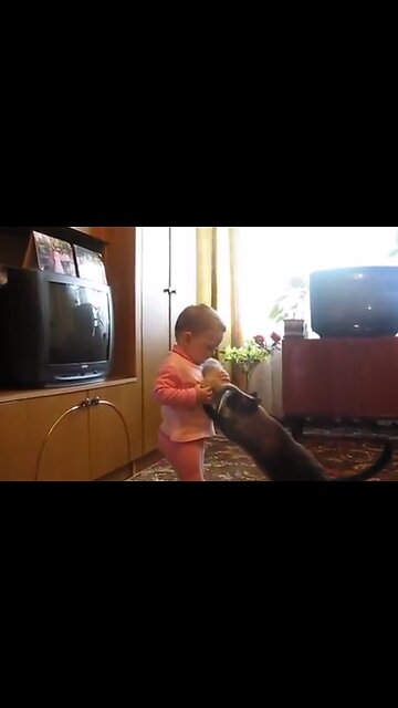 Mama Cat Takes Back Crying Kitten From Toddler