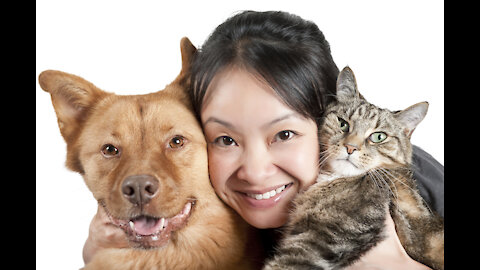 Researcher Explains Why Cats May Like Their Owners as Much as Dogs | WIRED