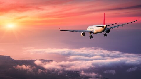 Flights of Fame and Fate