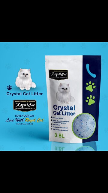 How to use silica gel litter for cats #pets #catlitter