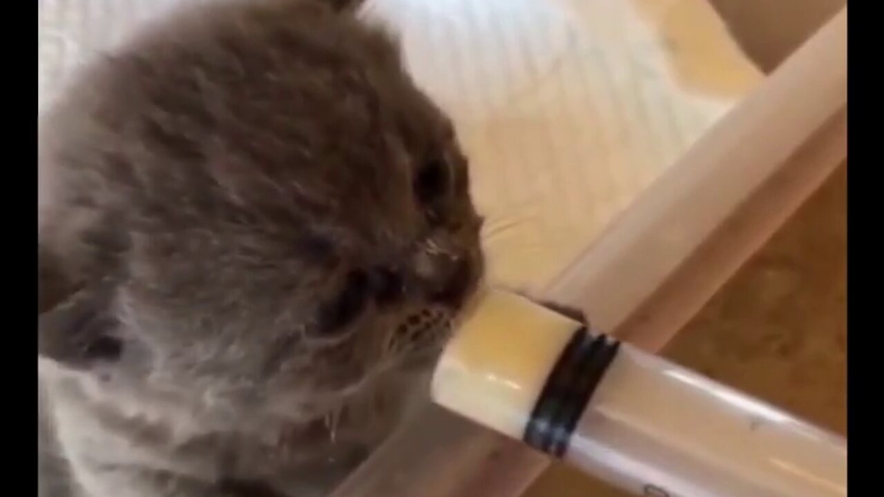 This Cutest Baby Took Easy On Milk