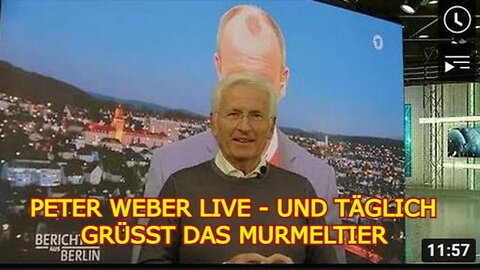 PETER WEBER LIVE - UND TÄGLICH GRÜSST DAS MURMELTIER