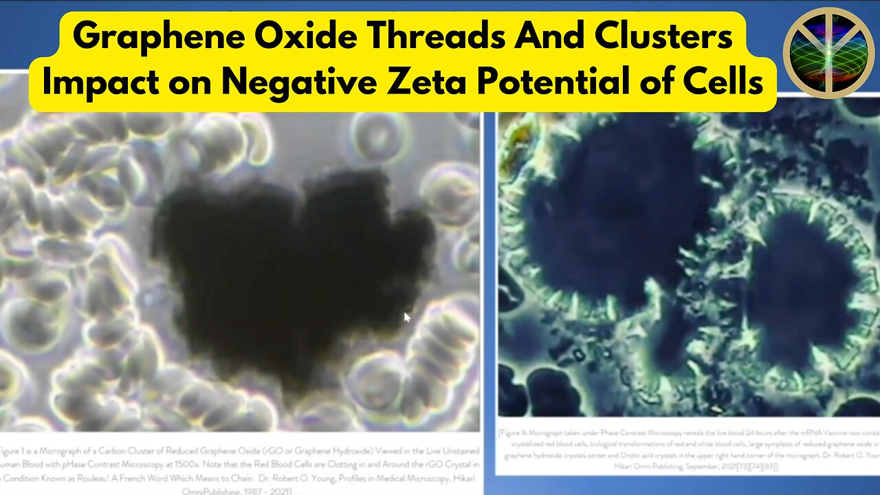 Graphene Oxide Threads And Clusters Impact on Negative Zeta Potential of Cells