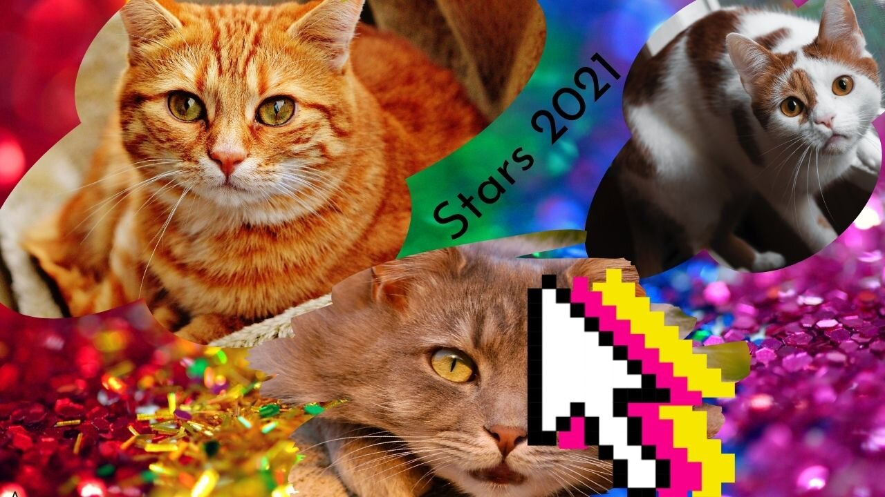 Funny Cats 2021, Cute and Adorable Baby Kittens