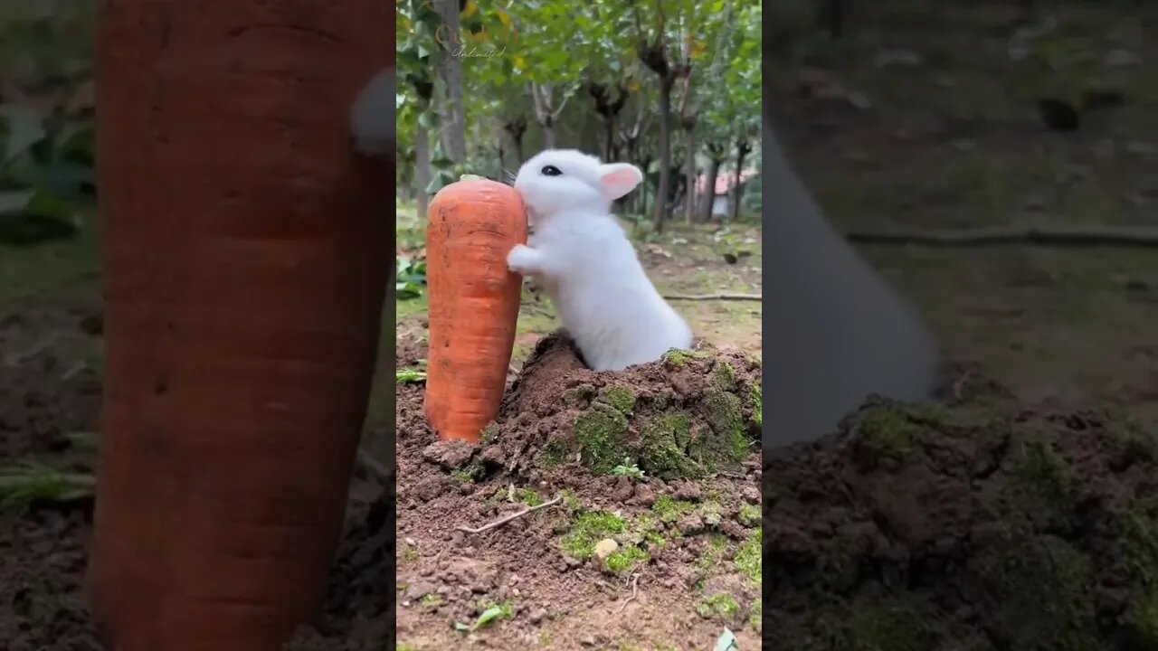 cute ❤️