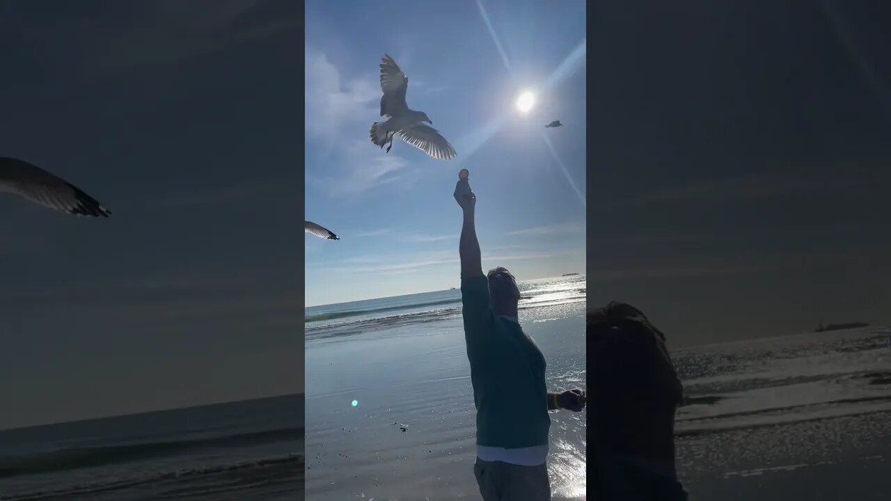 Fun times at the beach!!!!