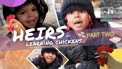 Heirs Learning Chickens! Part Two