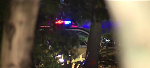Increased Strip violence raising concern