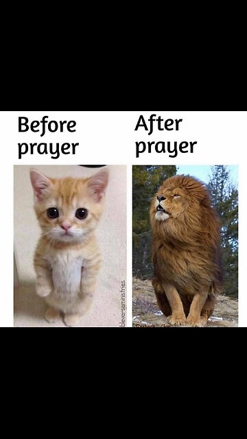 FACTS‼️‼️‼️