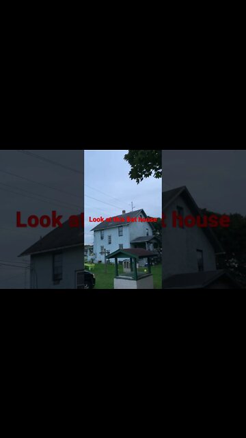 Halloween is coming. How would you like to live in this Bat house #shorts