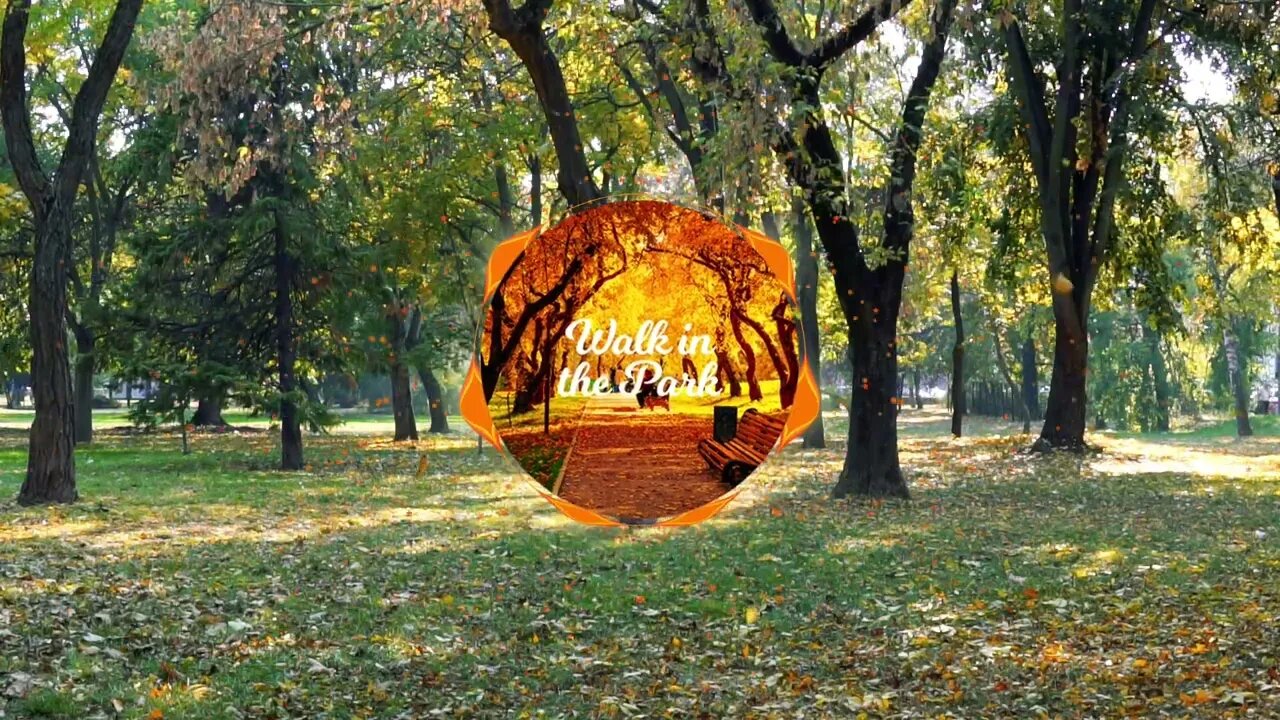 Walk in the Park - Jason Dunn Music Video (Lofi Hip Hop)