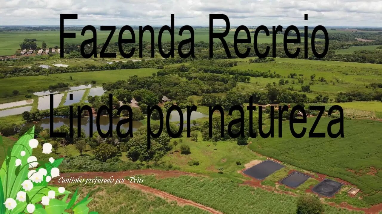 Fazenda Recreio, área rural de Dourados MS, o AGRO é TOP.