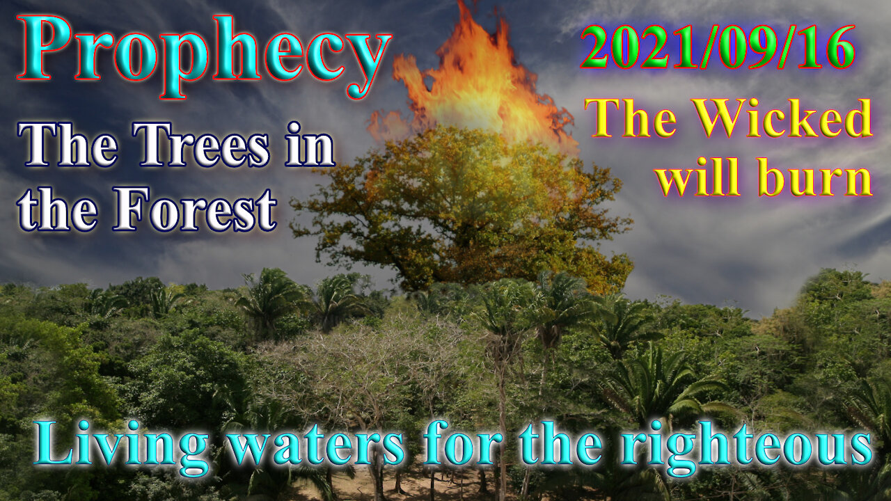 Prophecy, Forest, trees, Fire and living waters