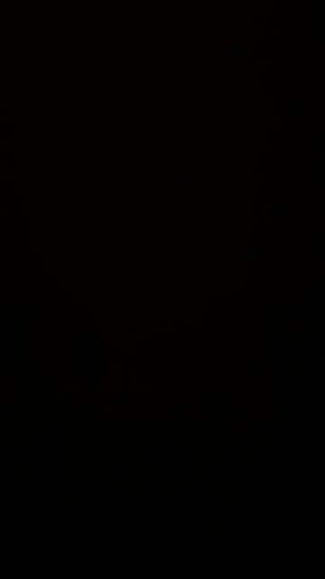 The elites want us to own nothing