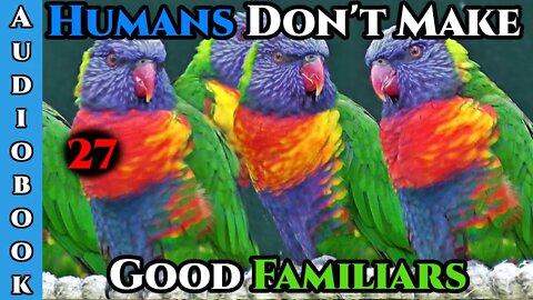 Humans Don't make Good Familiars (Ongoing) - Ch.27 | HFY | Fantasy