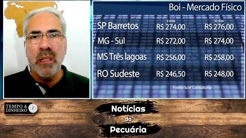 Boi gordo derrete com pressão da China e confinados desanimado