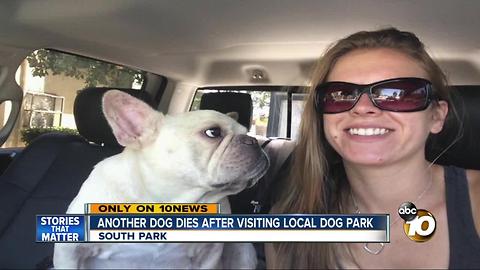 Another dog dies after visiting local dog park