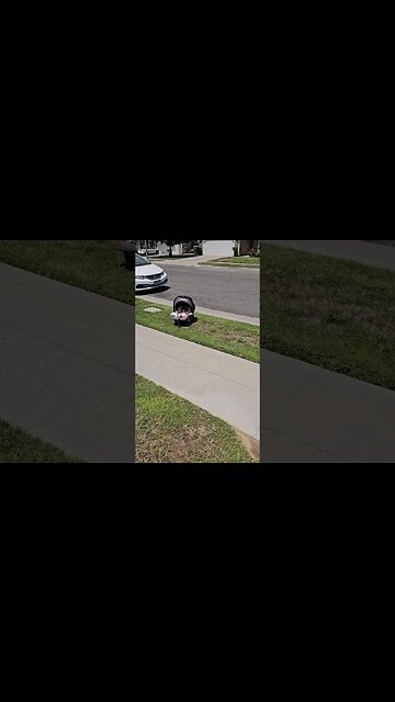 I FOUND a BABY!!! #shorts