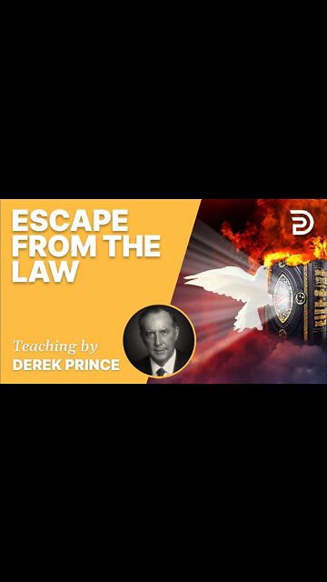 Escape From The Law #Shorts