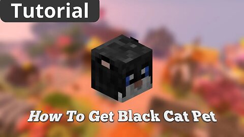 How To Get BLACK CAT PET in Hypixel Skyblock