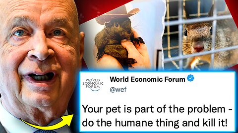 WEF Orders Slaughter of Pets Owned by Citizens With Low Social Credit Scores