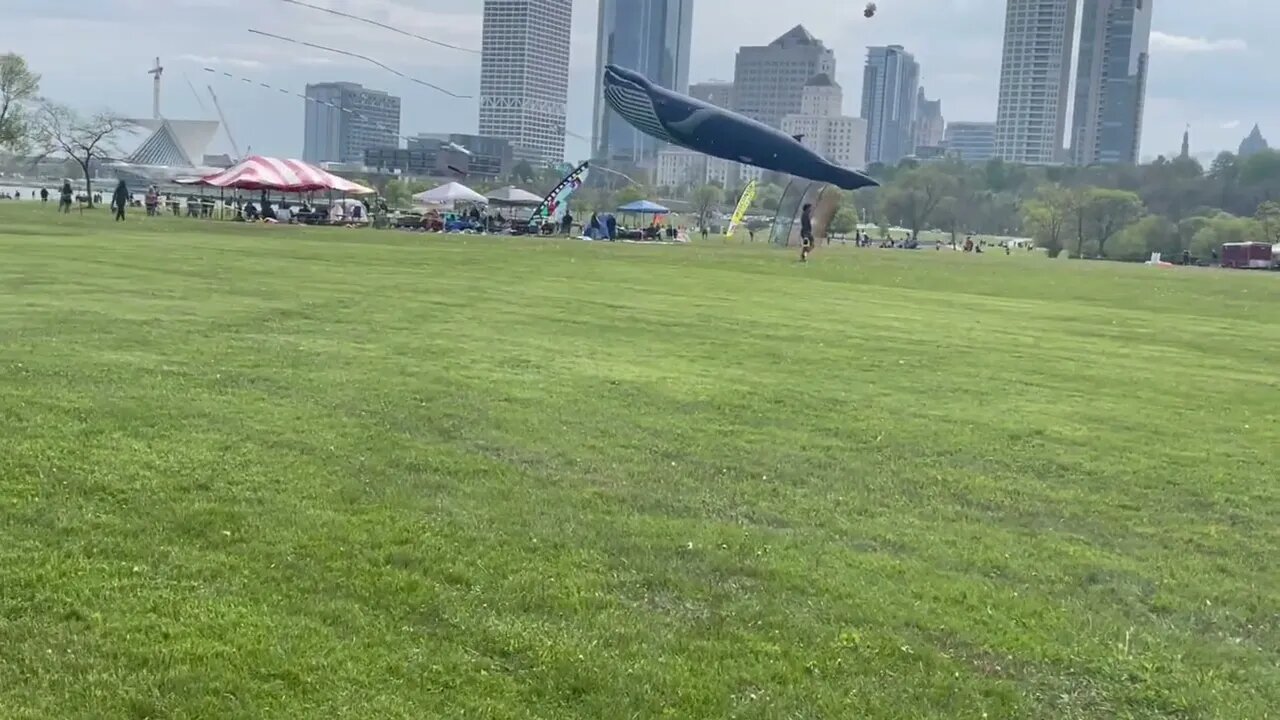 91D787DA 0002 44BF 82E2 EA5276AE3FC0