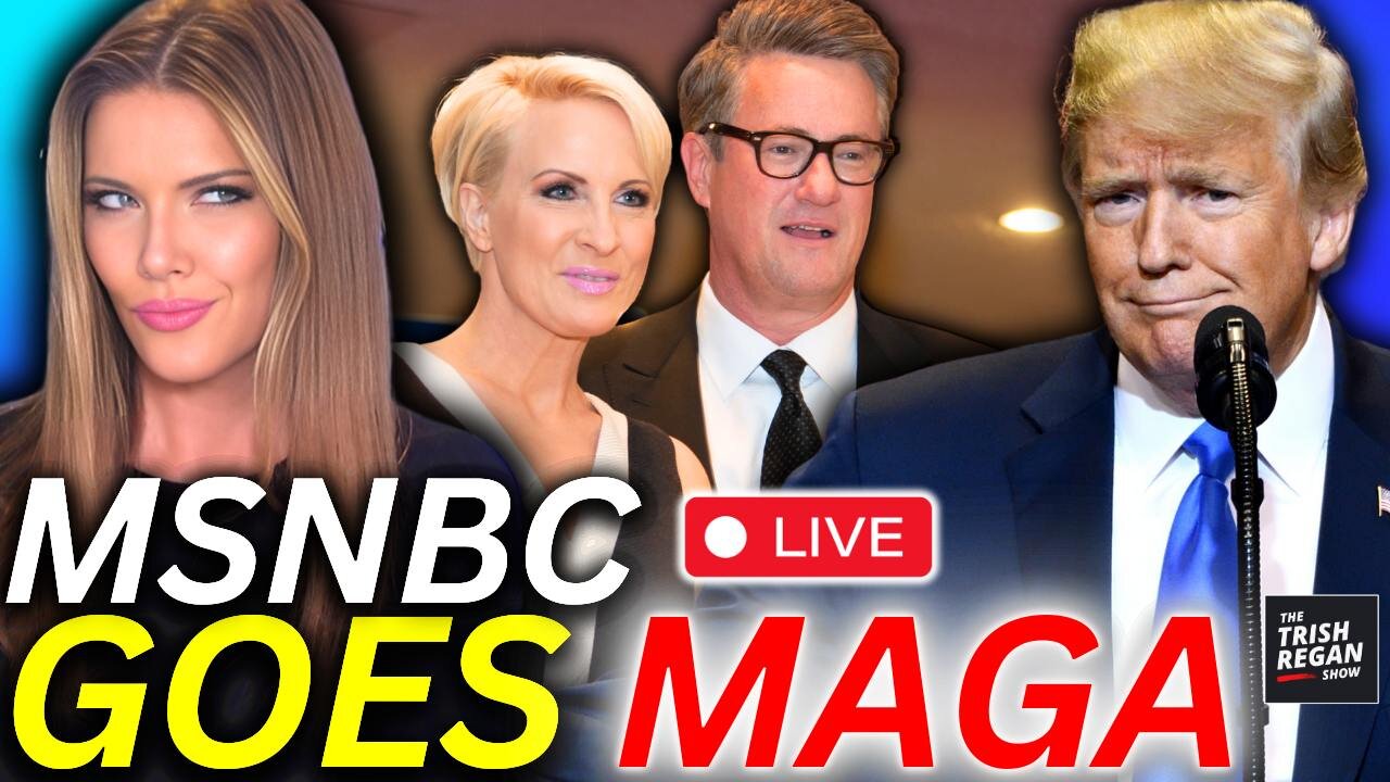 MSNBC Goes MAGA?! Joe & Mika Beg Trump for Forgiveness in Stunning Turnaround!