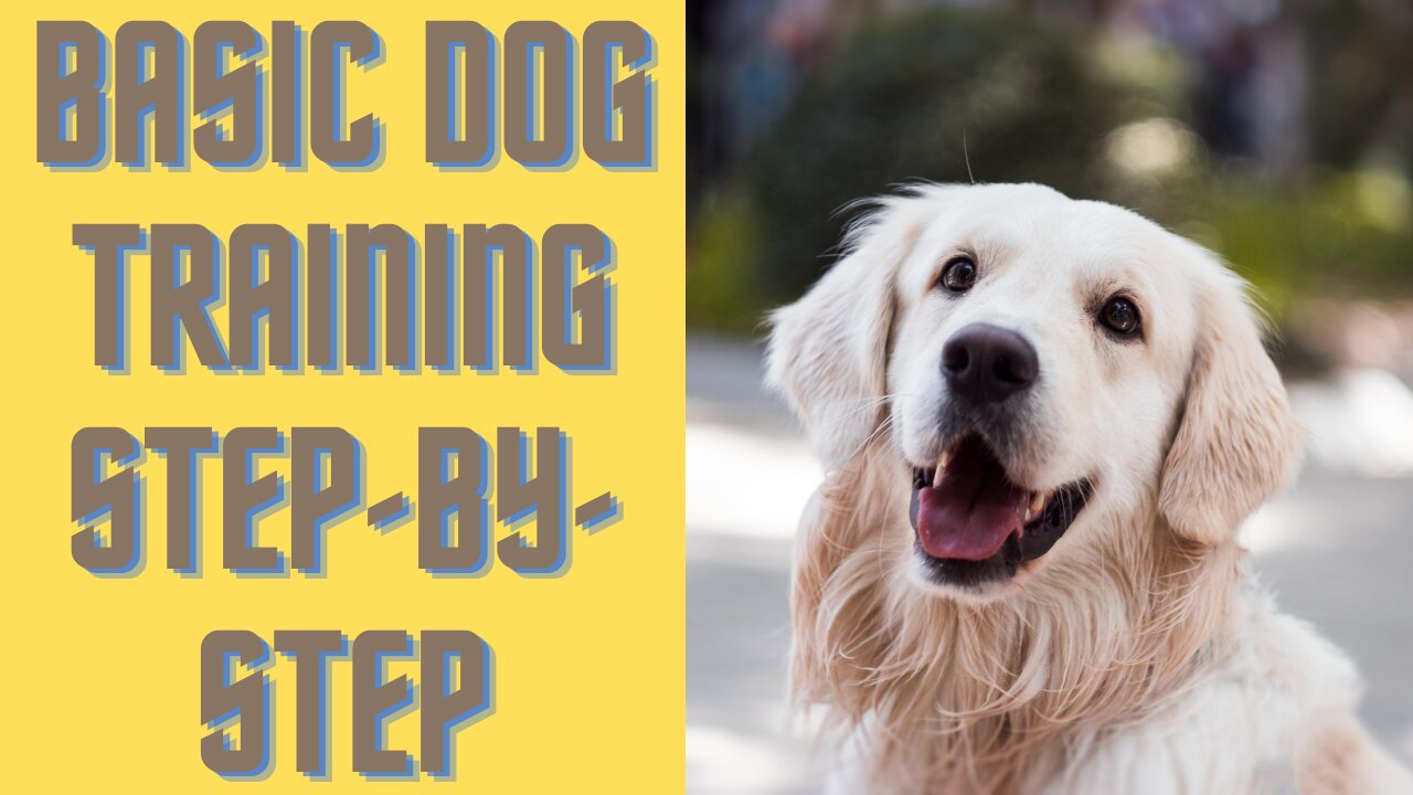 Best Basic Dog Training Step by Step | Training of speak command