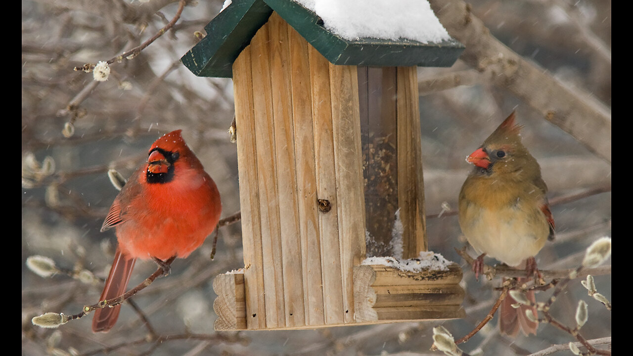 Can We Draw Near to God through Nature Photography?