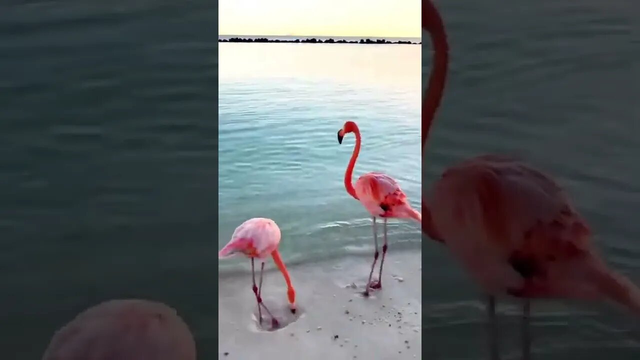 O que dizer de uma cena como essa?