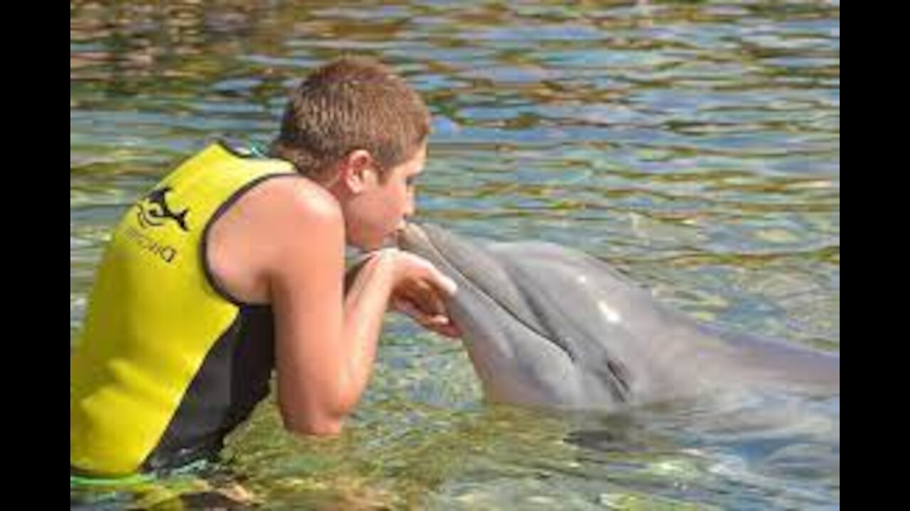 See what that DOLPHIN tries to do to make the child Happy. Funny Baby And Pet