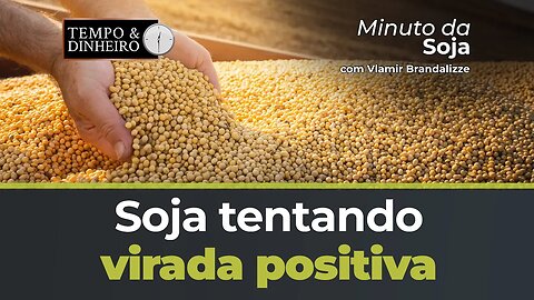 Soja tentando virada positiva