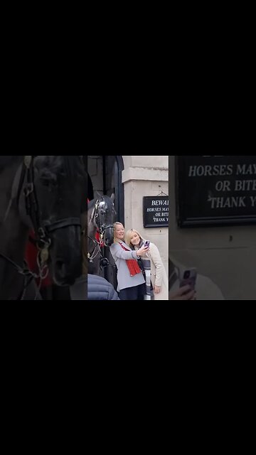 horse poses for the selfie #horseguardsparade