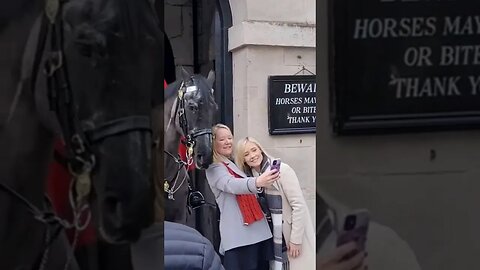 horse poses for the selfie #horseguardsparade