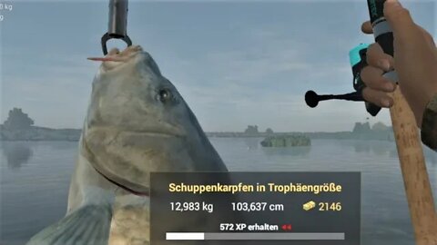 Fishing Planet Folge 521 Zweite Quali Rund vom Karpfen Turnier