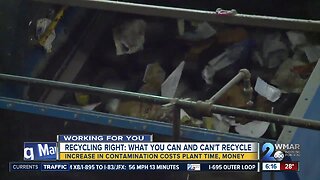 Recycling misconceptions costing city, counties more money
