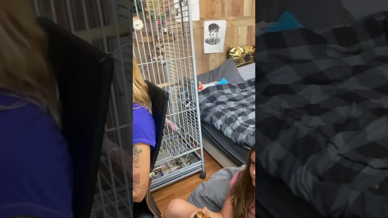 My daughter has 2 birds!
