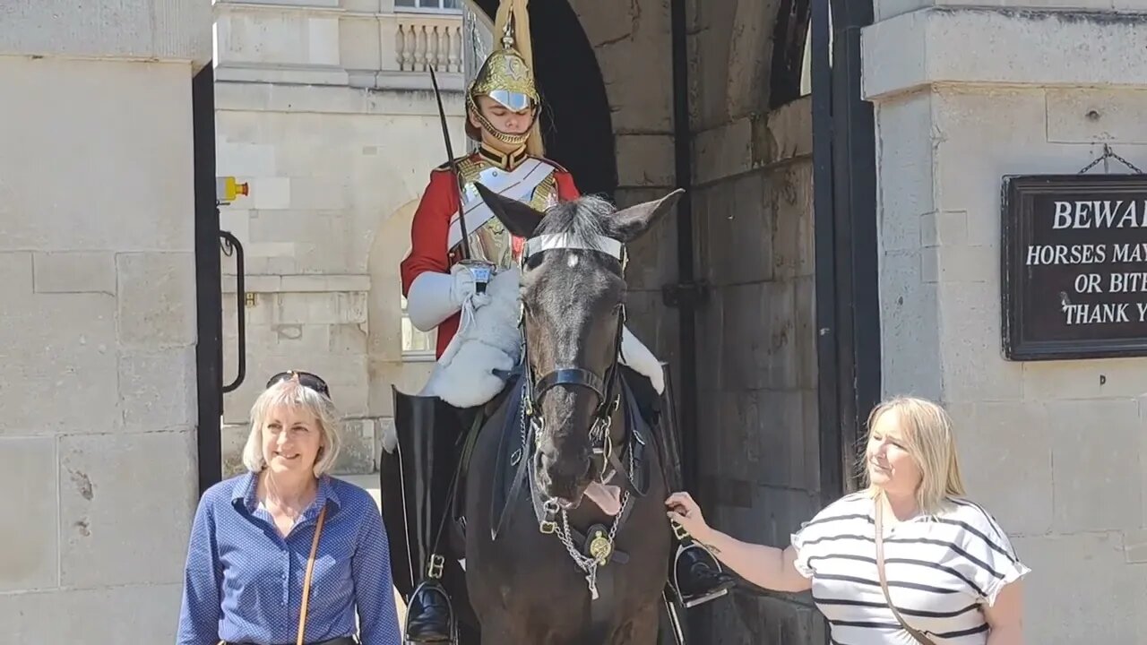 First tourist listened to the guard The second got shouted at. #horseguardsparade