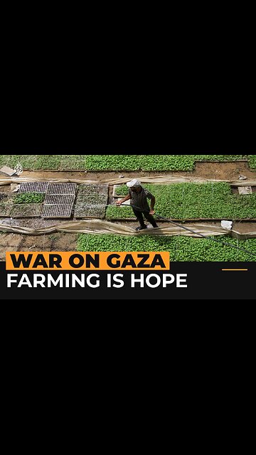 ‘This is my only hope’ says Palestinian who farms to combat hunger | Al Jazeera NewsFeed| RN