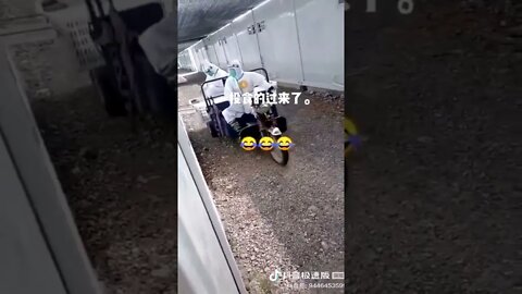 Life in a quarantine camp