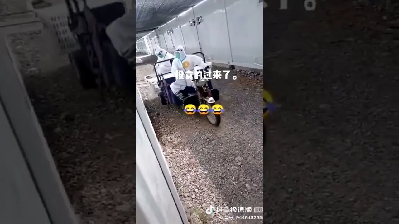 Life in a quarantine camp