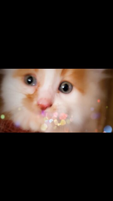 Had to Share My Loves with You Guys ❤