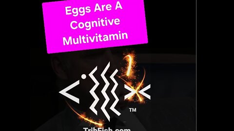 Eggs Are A Cognitive Multivitamin